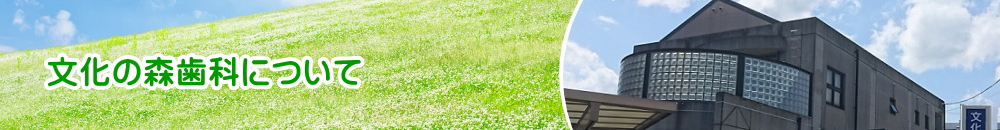 文化の森歯科について